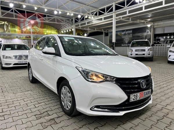 شانجان السفن 2019 للبيع في العراق - النجف